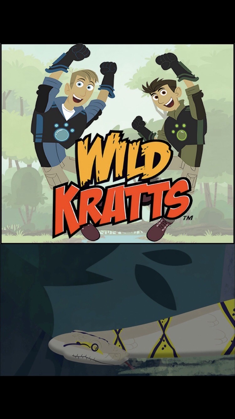The Wild Kratts Learn About the Reticulated Python by Bvega41 on DeviantArt