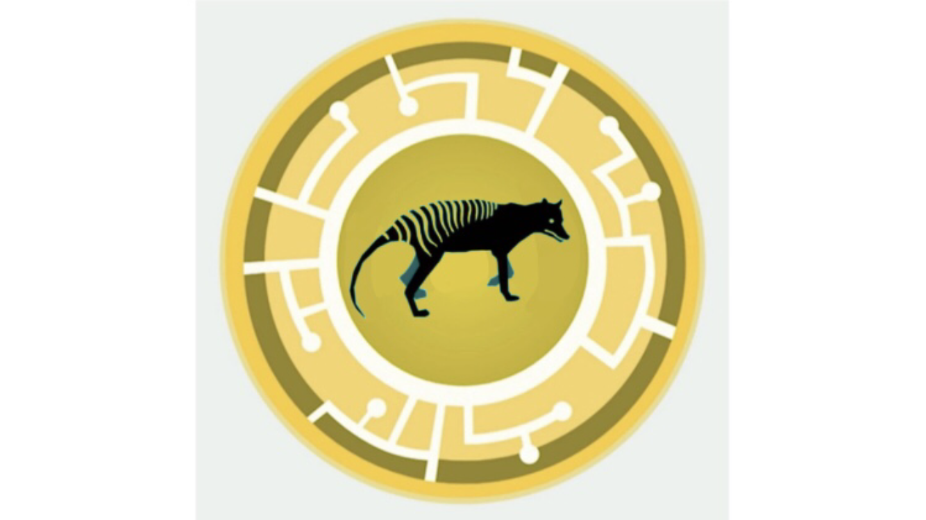 Wild kratts hot sale cheetah power disc