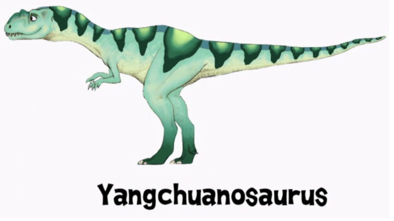 Yangchuanosaurus by ThePalaeoWriter by ThePalaeoWriter on DeviantArt