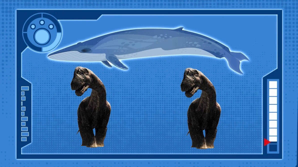 Blue Whale and Argentinosaurus Weight Comparison by Bvega41 on DeviantArt