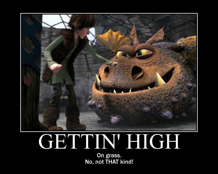 HTTYD Motivational 22