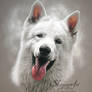 Dog portrait: YUKI by Skyzune ART