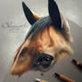 horse portrait: RIQUITA by Skyzune ART
