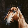 Horse painting AMBER SILK by Skyzune ART