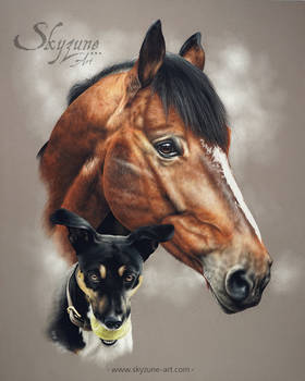 Dog and horse drawing - UTOPY and VICONTE