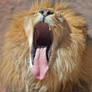 Big Yawn