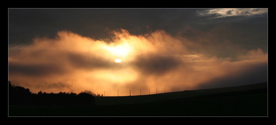 Evening Fog