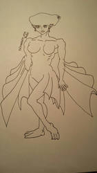 The princess of Ruto ( unfinished )