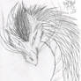 Dragon sketch