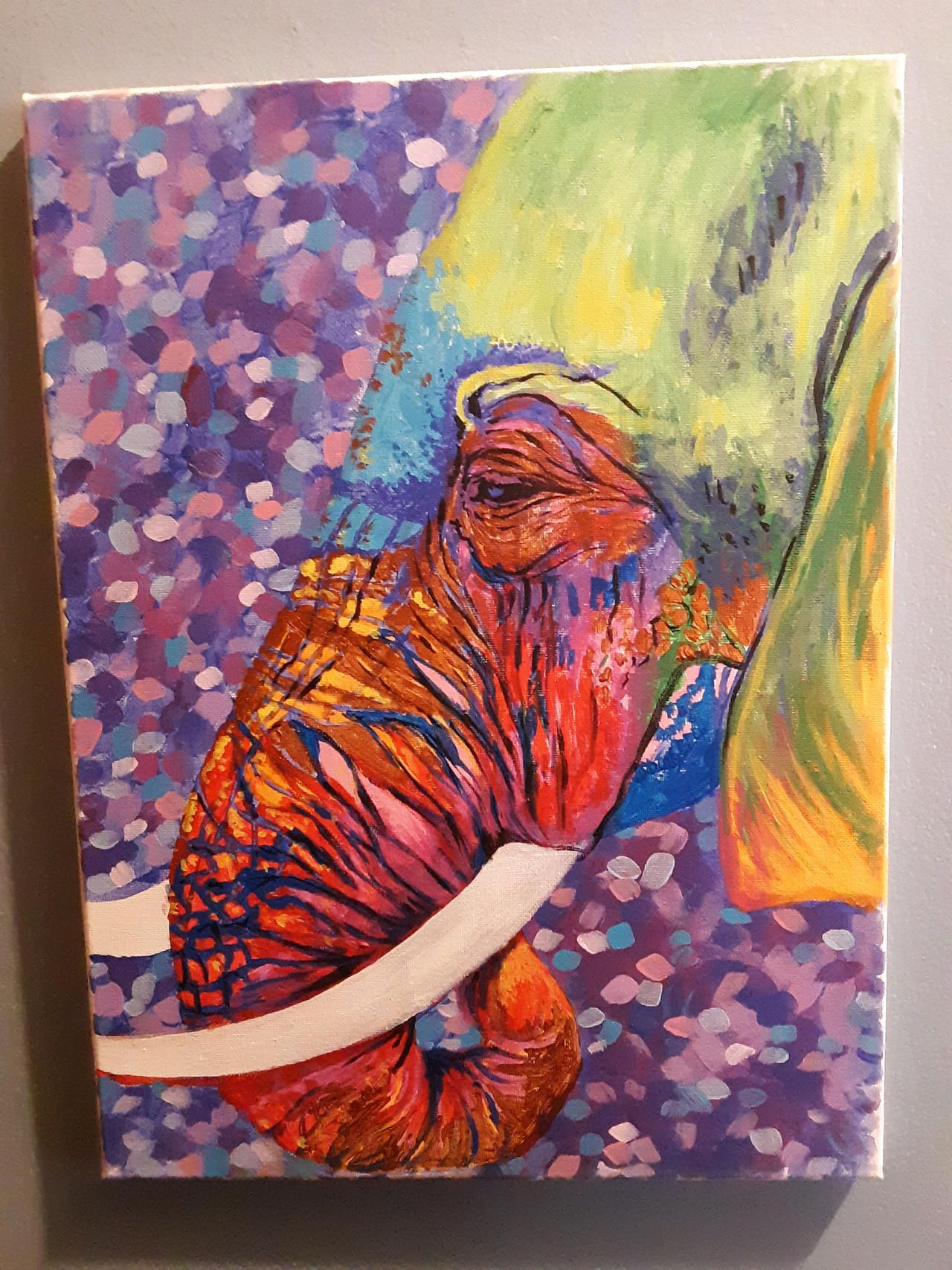 Rainbow Elaphant