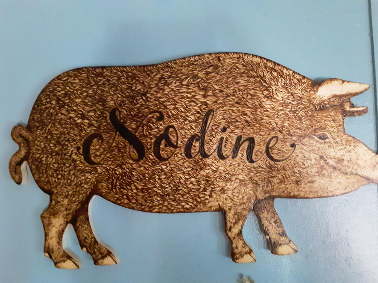 Woodburnt Piggy