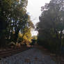 That Tracks