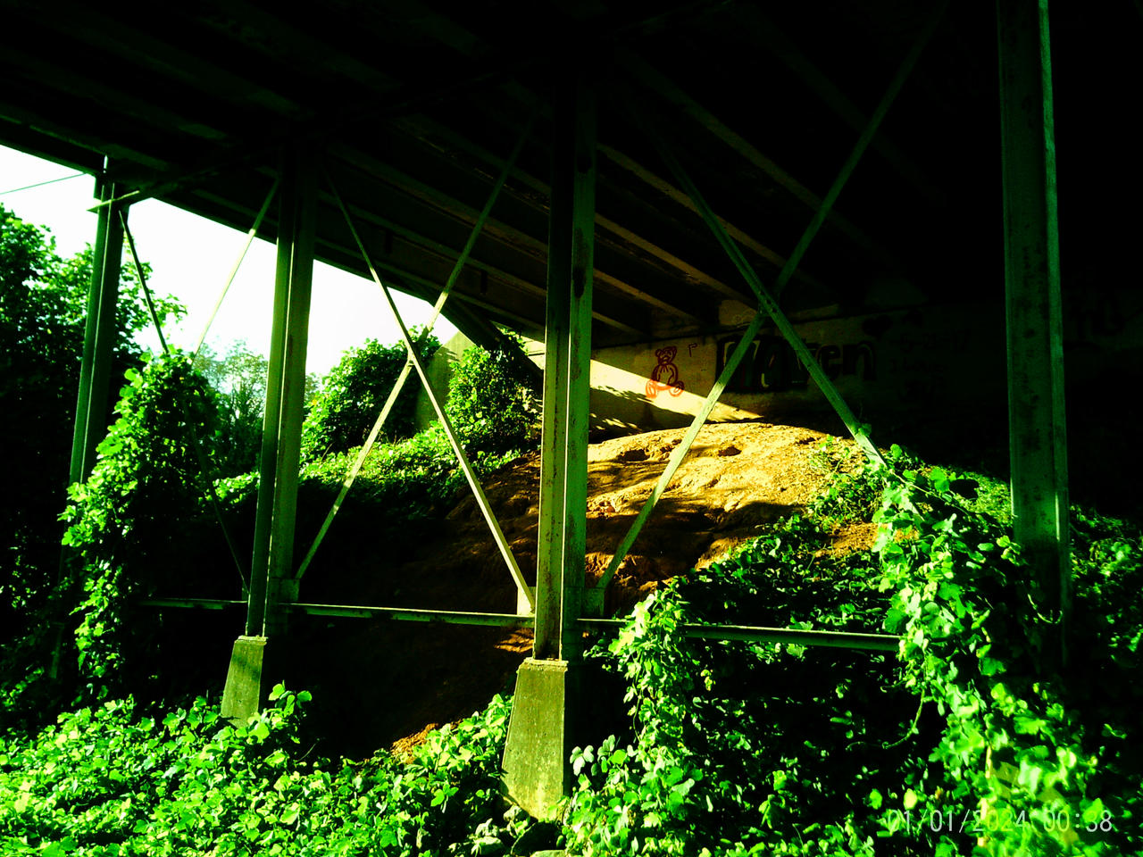X Bridge