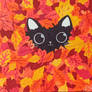 Feline Fall