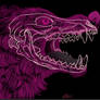 Magenta Canine