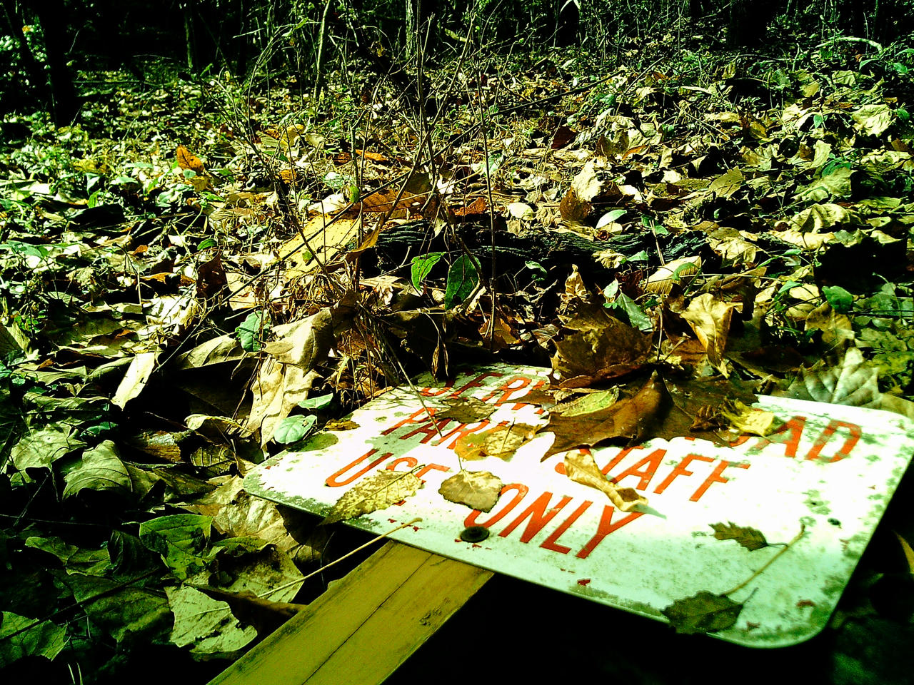 Staff Only