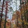 Take A Hike