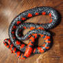 Eastern Mudsnake