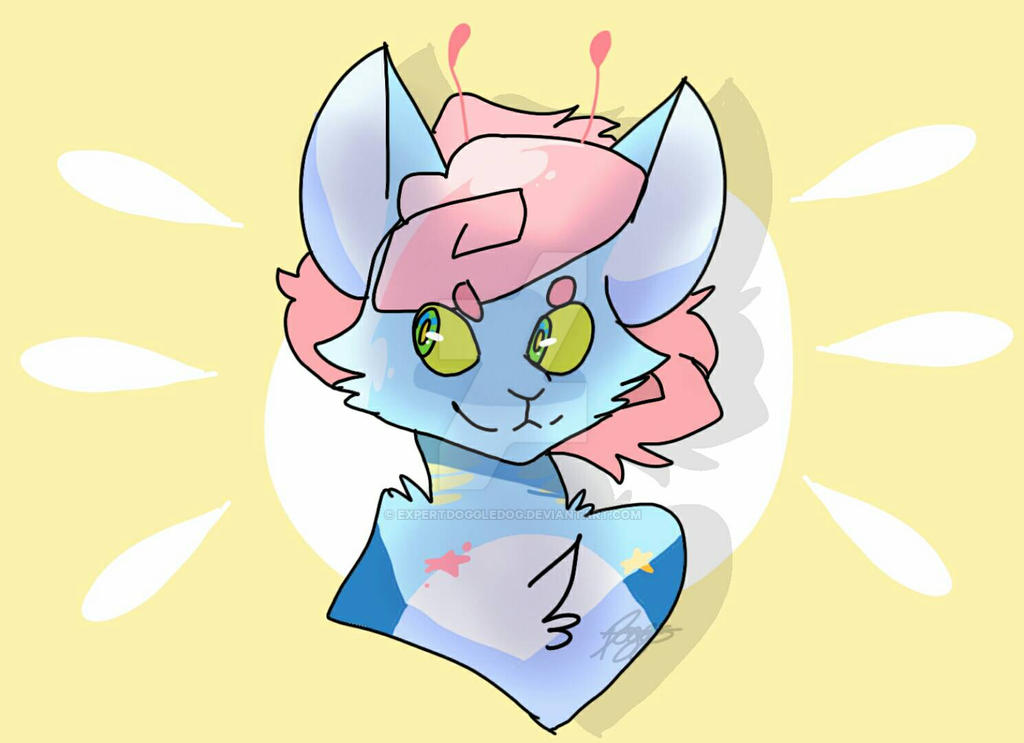 Toni by Expertdoggledog on DeviantArt