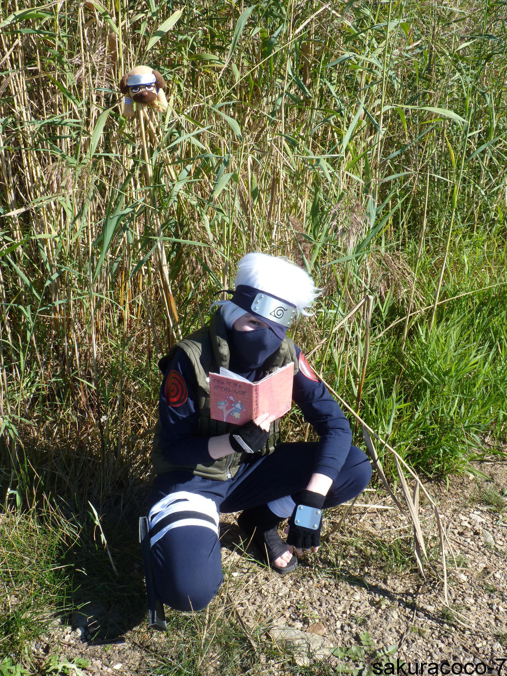 Kakashi and Pakkun