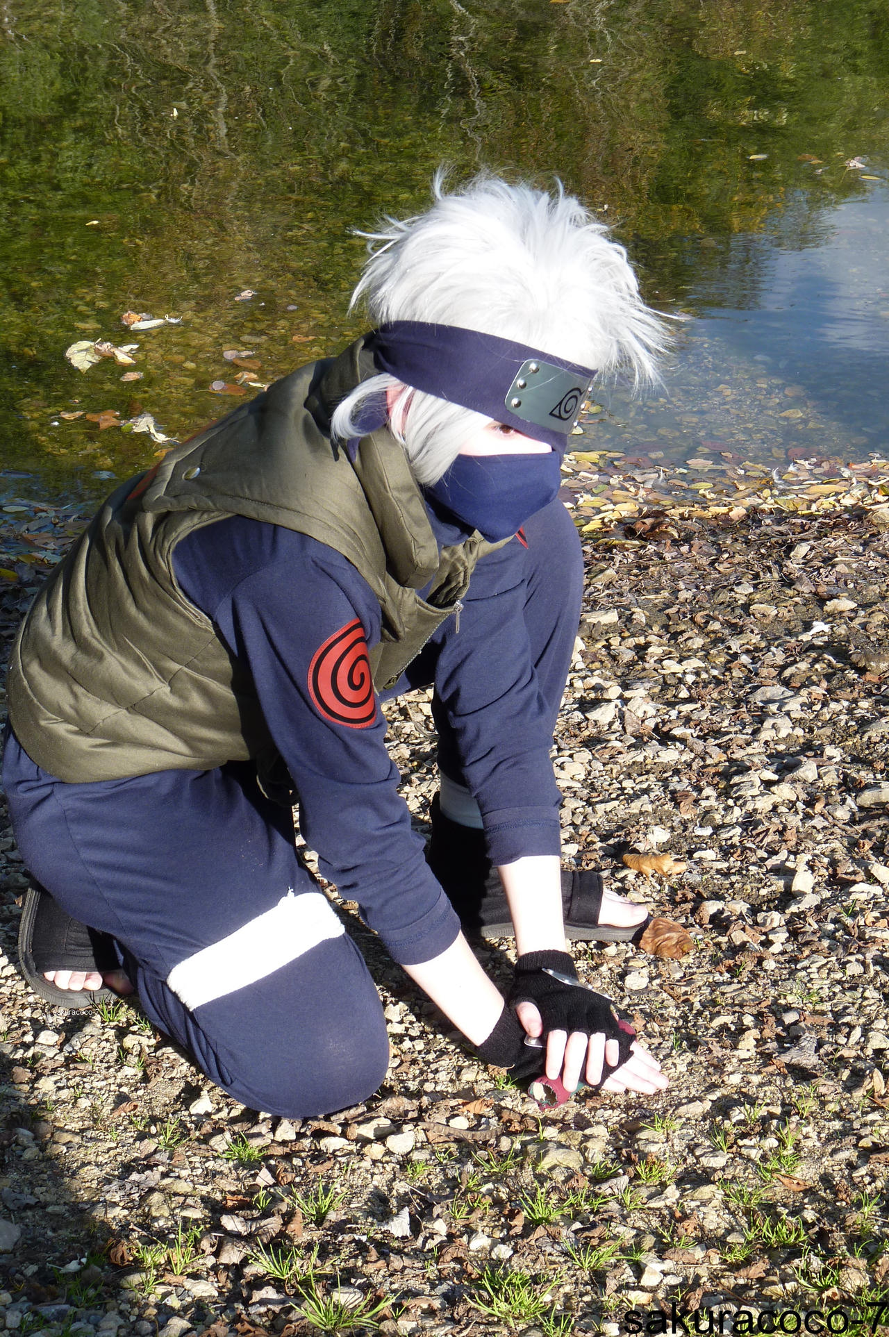 Ninpo kuchiyose doton tsuiga no jutsu