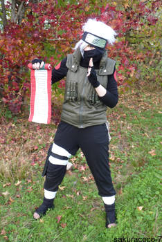 Hatake kakashi