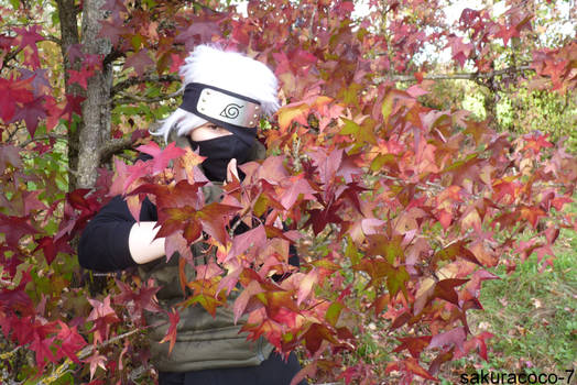 Kakashi