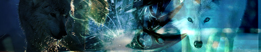 Wolf Banner 3 by AnimalLovers626 on DeviantArt