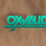 Axylus Logo 2007