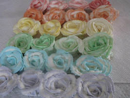 Rainbow Roses 2