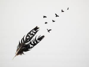 Feather Cuts 2