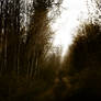 Road Of Recollection