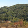 Lake Chabot 2