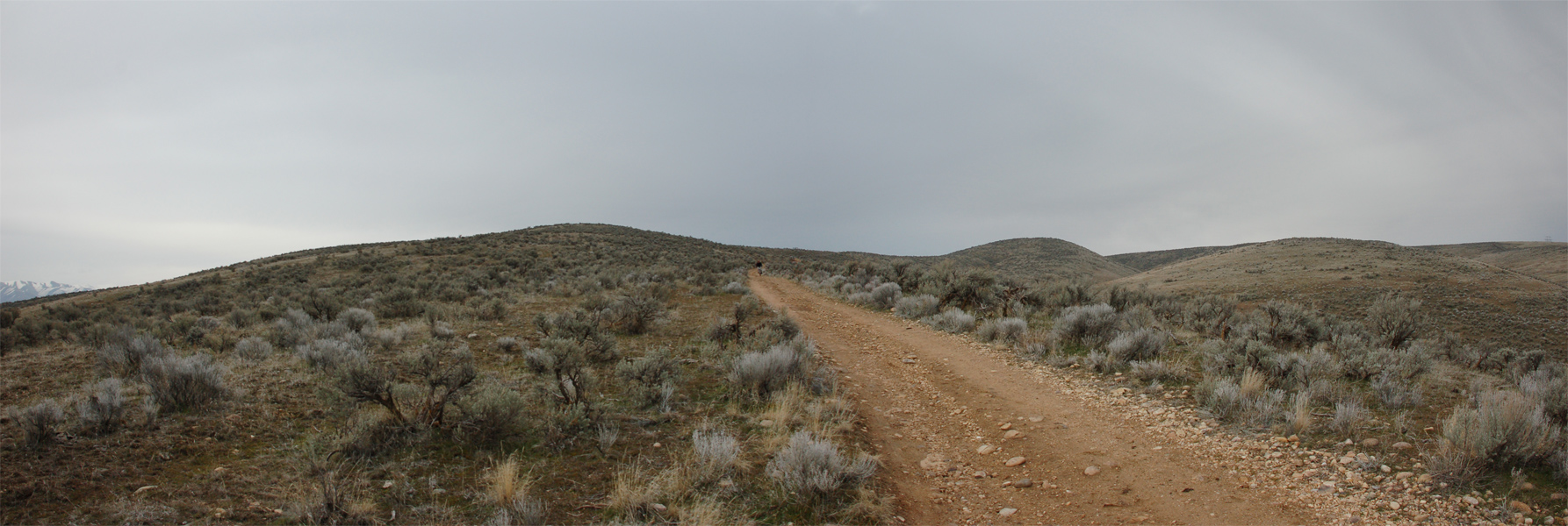 Oregon Trail 2010-01-30