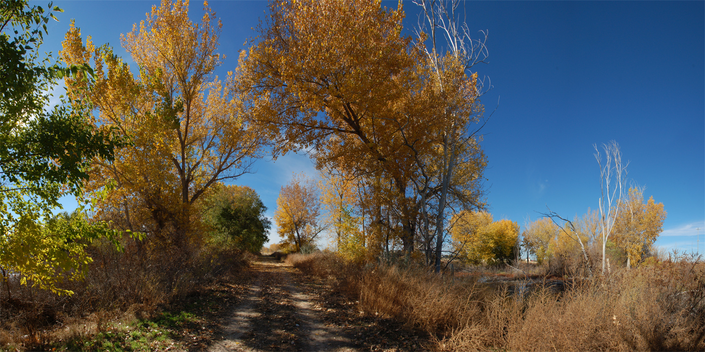 Lake Lowell Fall 2 2010-11-04