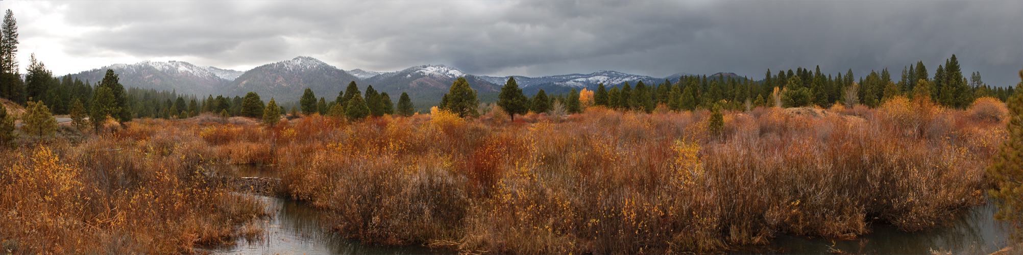 Placerville fall colors marsh