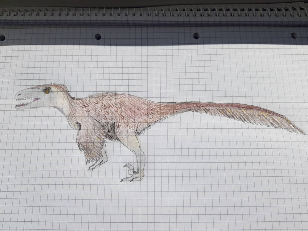 Raptor sketch by ThisBeFire on DeviantArt