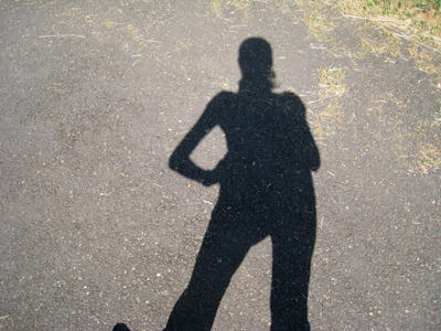 Shadow ID by thatfrenchgirl on DeviantArt