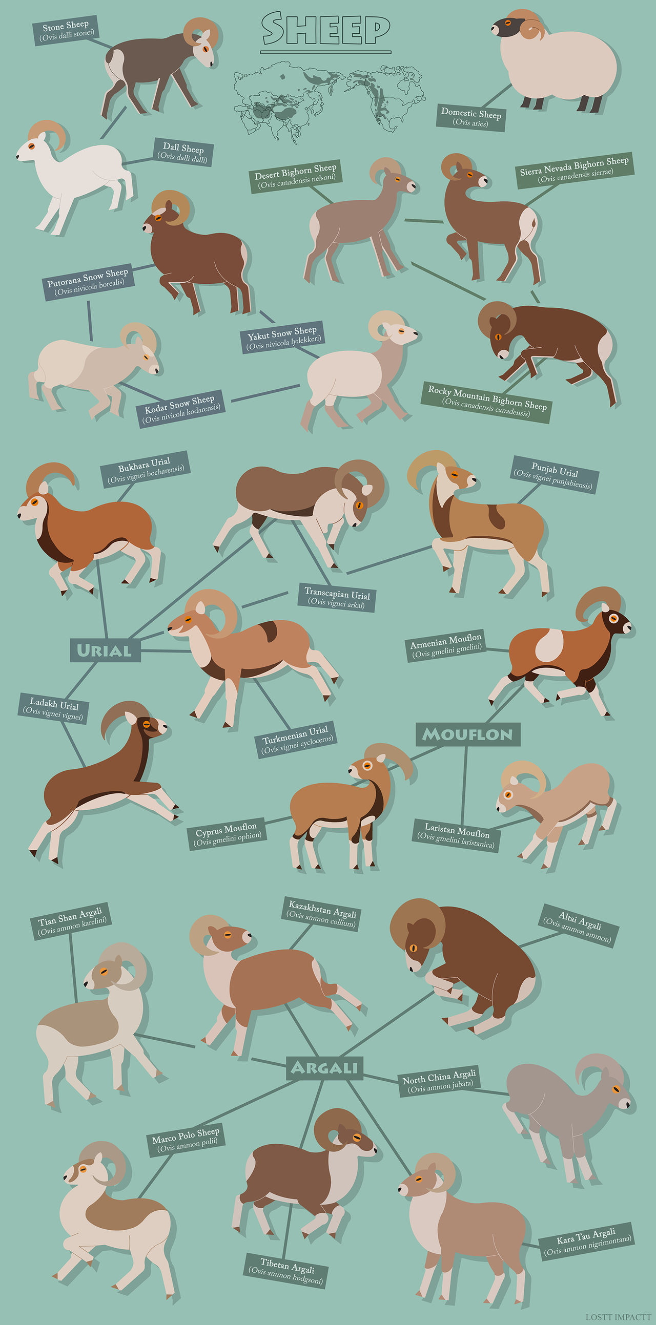 Deviantart Characters Sheep Sheep by losttimpactt on DeviantArt