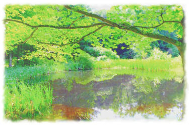 Watercolor Pond