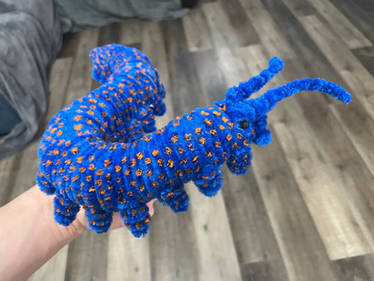Pipe Cleaner Peripatoides Velvet Worm