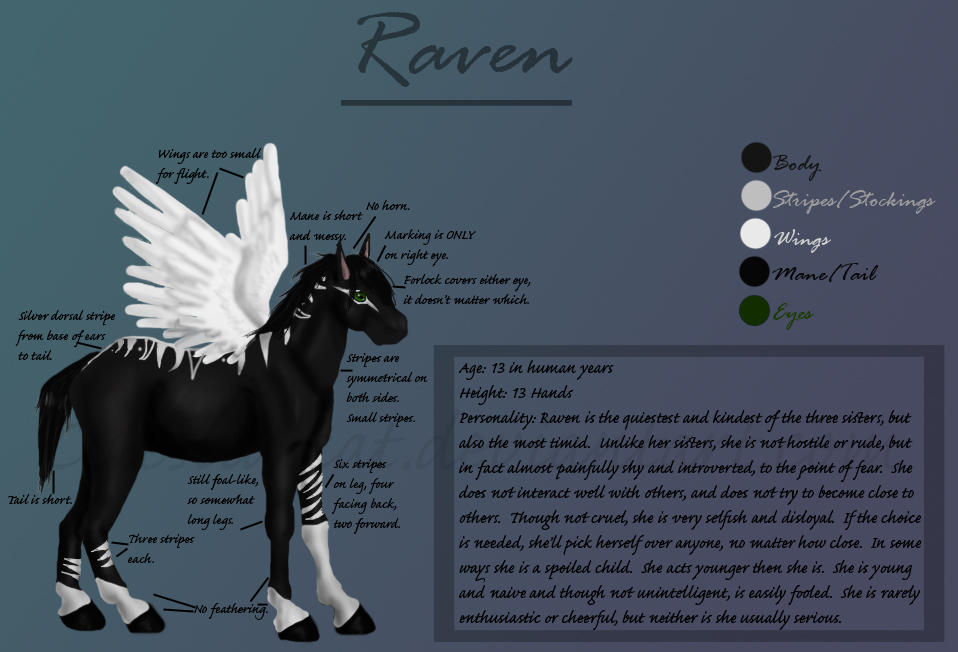 Raven Reference Sheet by CelestialCat on DeviantArt