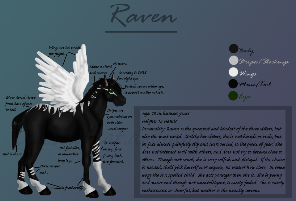 Raven Reference Sheet by CelestialCat on DeviantArt