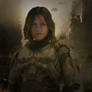 Halo: Survival
