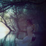 Swinging Dreams