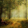 A Moments Rest