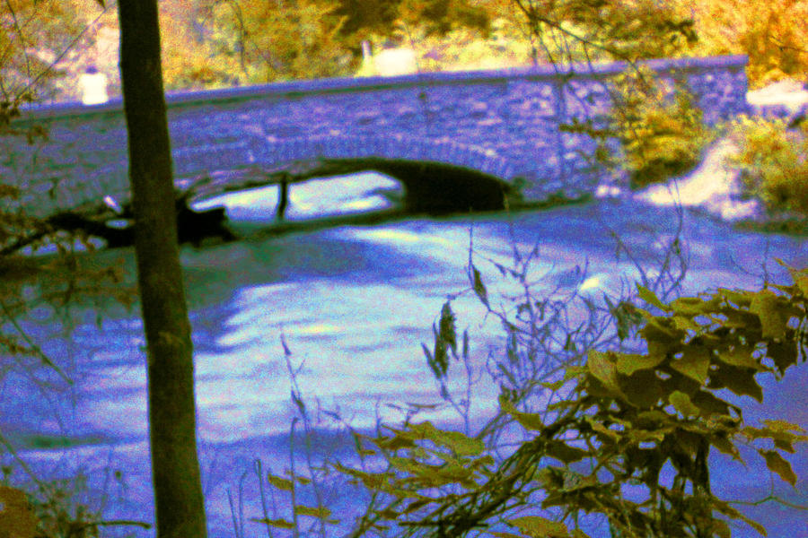 Bridge in Infrared