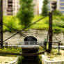 Fun With Tilt Shift