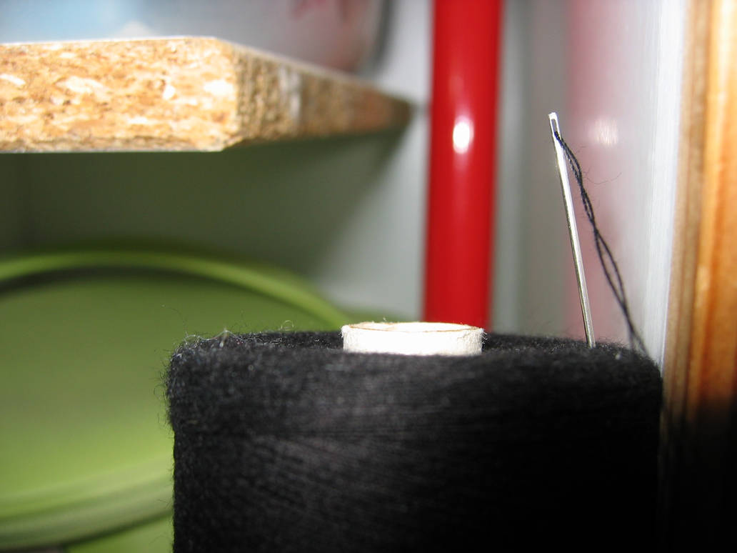 Macro thread and needle by ghiretta on DeviantArt