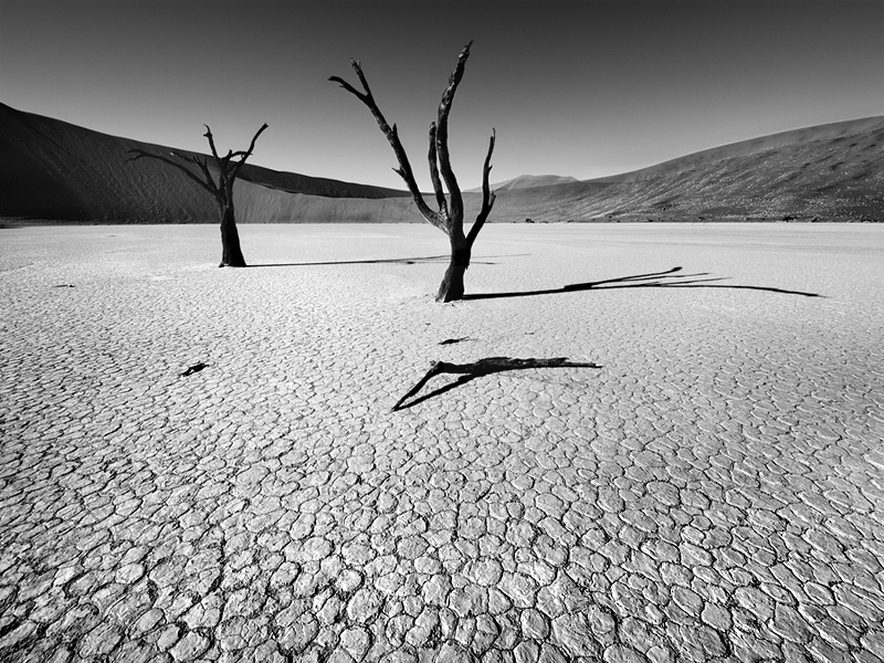 dead:vlei